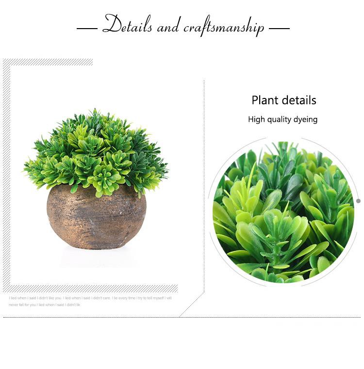 Eco-friendly Green Plant Bonsai