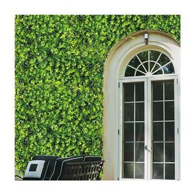 خشب البقس الاصطناعي التحوط الخصوصية للبيع