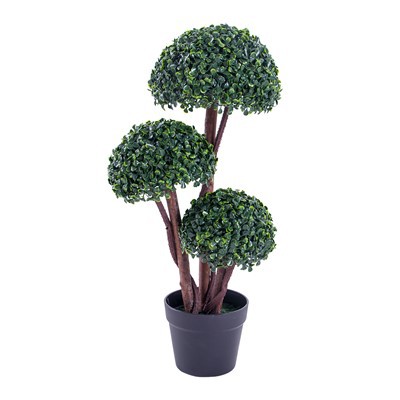 نبات القيقب الاصطناعي بوعاء شجرة