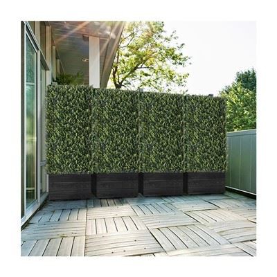 Boxwood البلاستيك للبيع