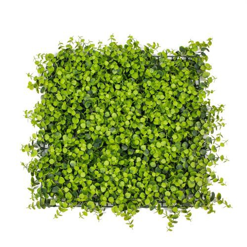 لوحات العشب الاصطناعي من خشب البقس