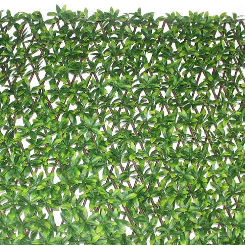 الخارجية تغطي الجدار المزيف