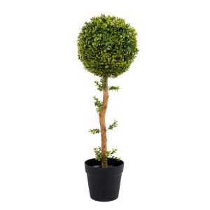 نباتات اصطناعية مصنوعة من خشب البقس