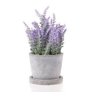 أسمنت لافندر صناعي