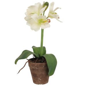 نباتات اصطناعية خارجية