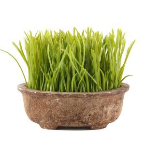 بوعاء النباتات في الهواء الطلق بوعاء الاصطناعي