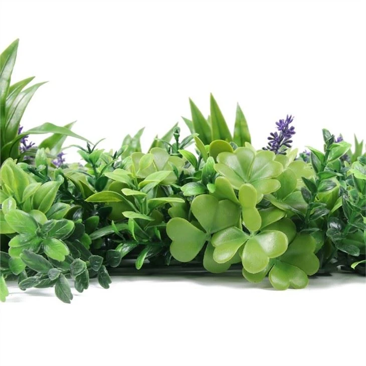 PURPLE Lavender Boxwood Flowers