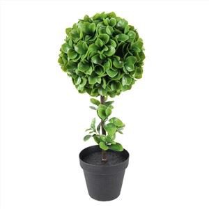 شجرة ورقة التفاح ثلاث طبقات البلاستيك